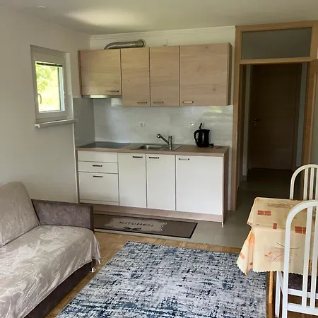 Apartma Manfreda 아파트 *